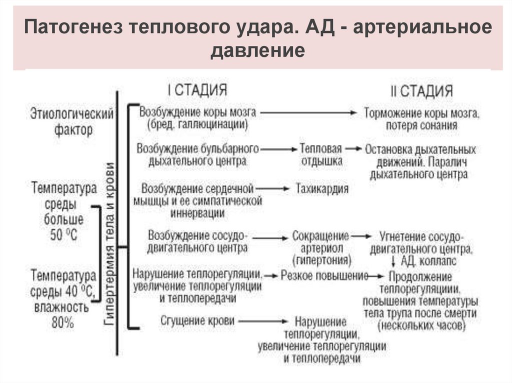 Развитие теплового удара