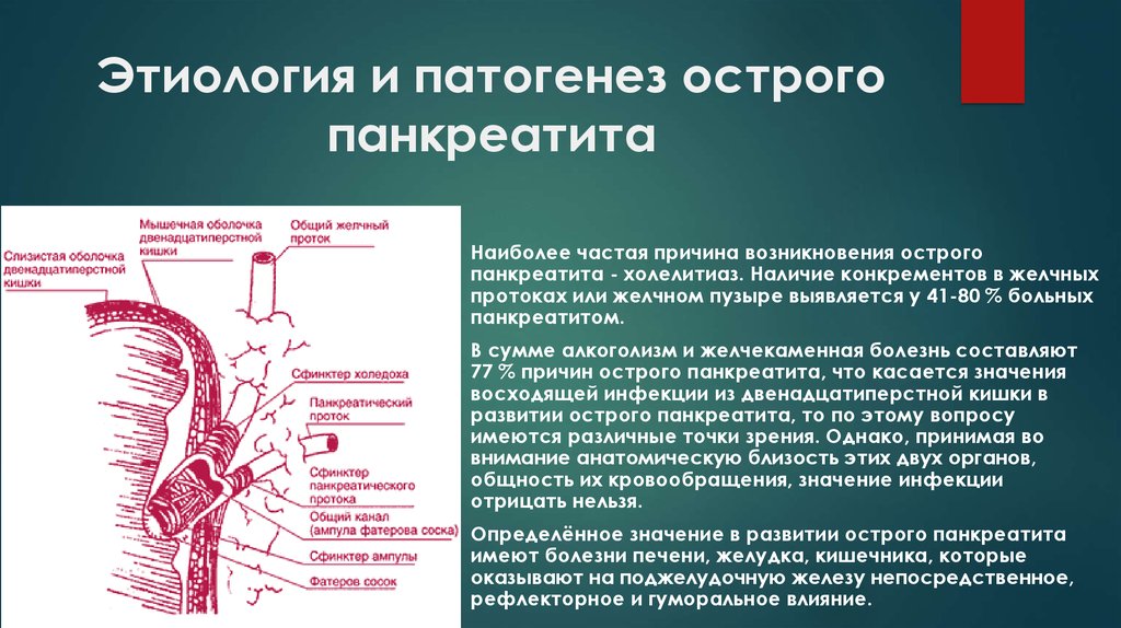 Этиология и патогенез. Наиболее частая причина развития острого панкреатита. Панкреатит этиология и патогенез. Патогенез острого панкреатита. Патогенез острого панкреатита хирургия.