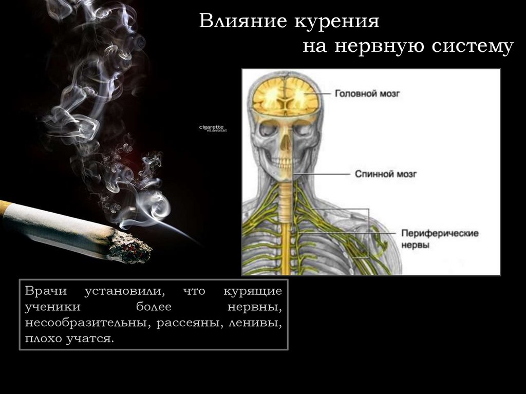 Системы курения. Влияние курения на нервную систему. Курение и нервная система. Влияние на ЦНС табачного дыма. Влияние никотина на нервную систему.