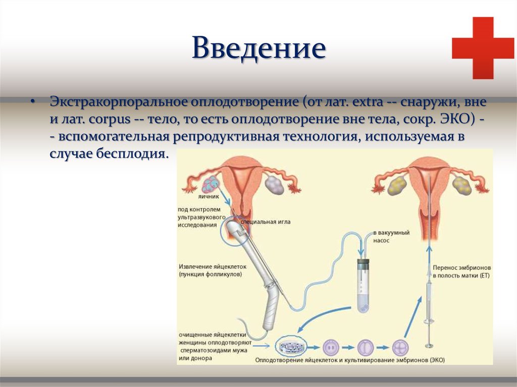 Оплодотворение происходит в течении. Искусственная инсеминация. Эко оплодотворение. Экстракорпоральное оплодотворение презентация. Эко это искусственное оплодотворение.