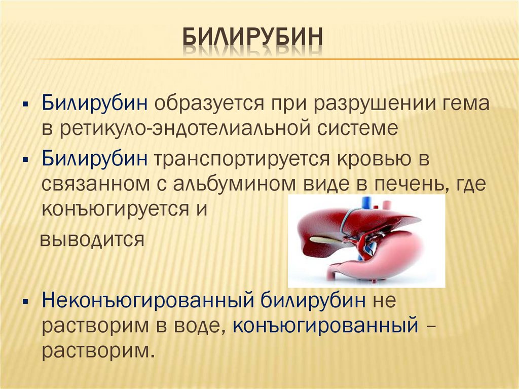 Повышенный билирубин. Билирубин. Билирубин образуется. Прямой билирубин образуется. Прямой билирубин связанный.