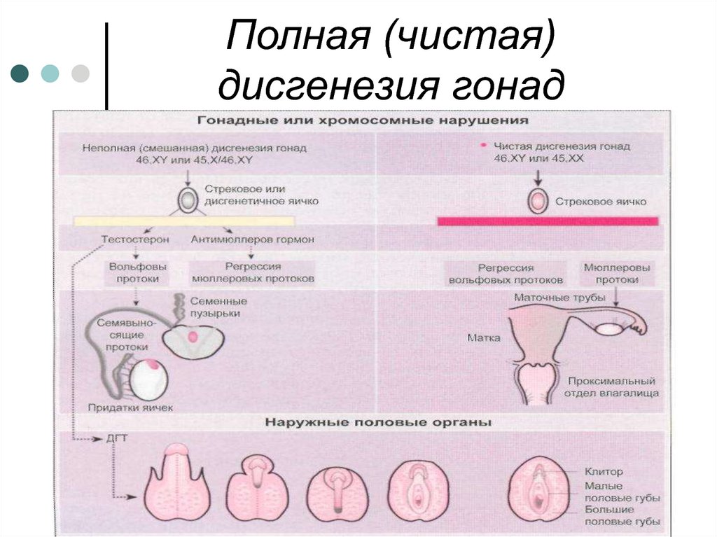 Зрелая женщина развдвигает половые губы после оргазма