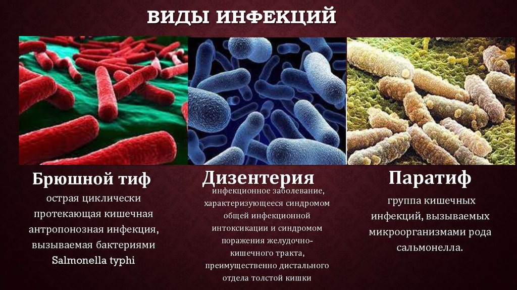 Виды инфекционных заболеваний фото