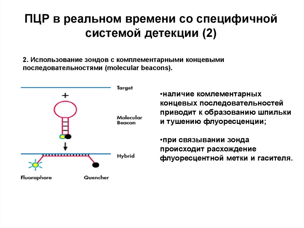 Пцр ошибка