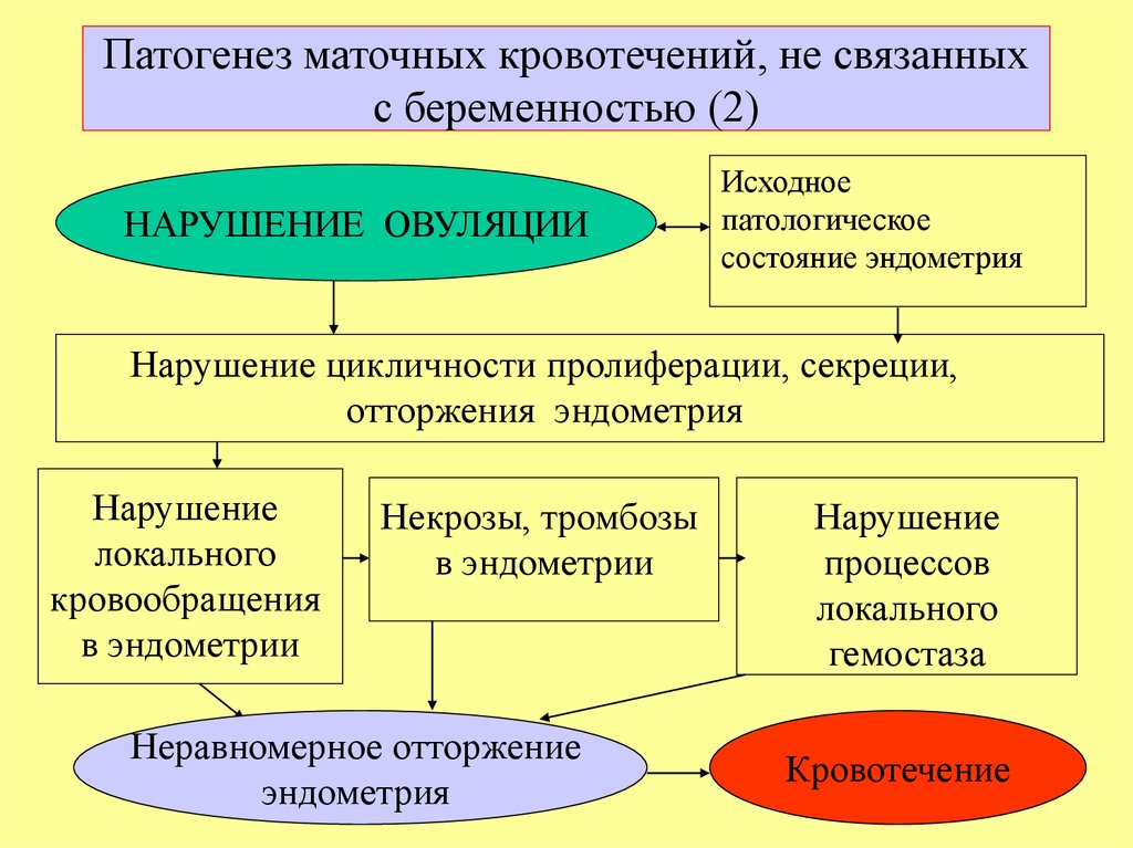 Аномальное кровотечение. Патогенез дисфункциональных маточных кровотечений. Патогенез маточных кровотечений. Аномальные маточные кровотечения патогенез. Этиология маточных кровотечений.