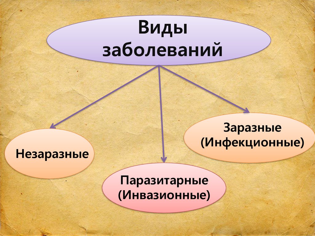 Виды инфекций. Виды заболеваний. Основные виды болезней. Типы и виды заболеваний.