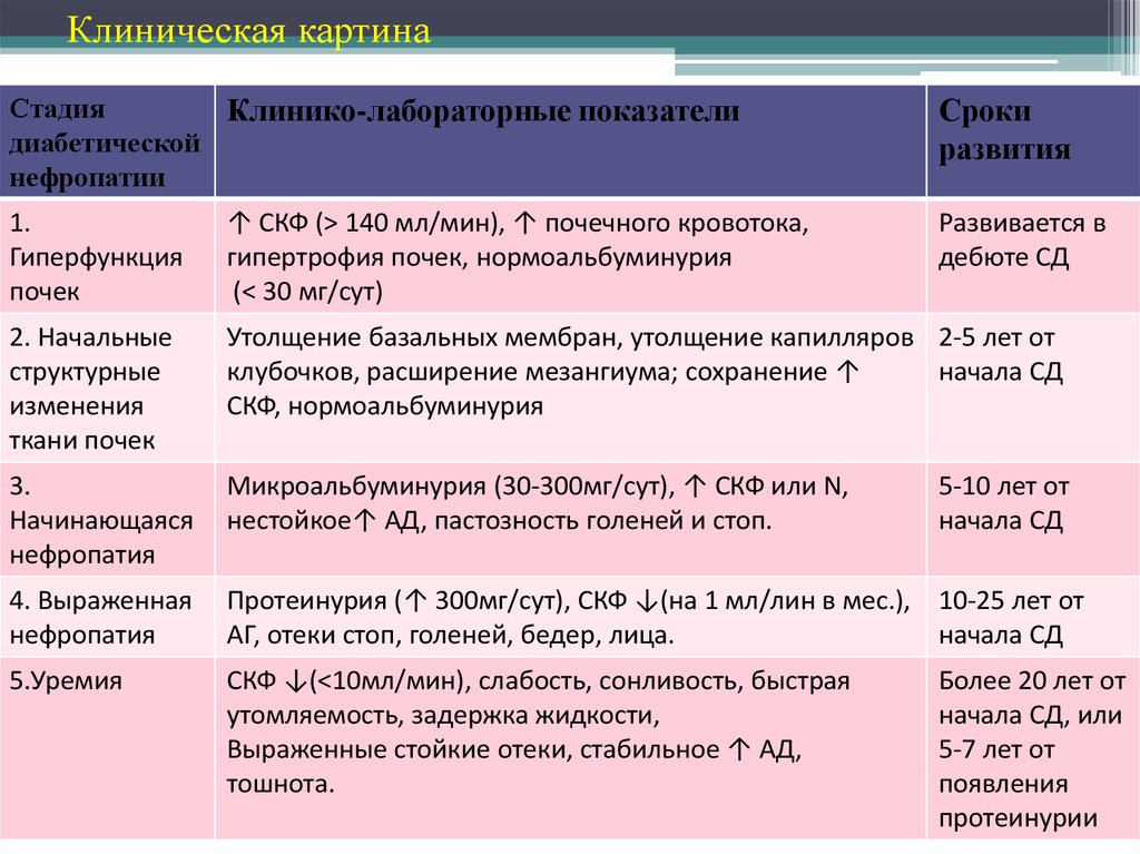 Диабетическая нефропатия презентация