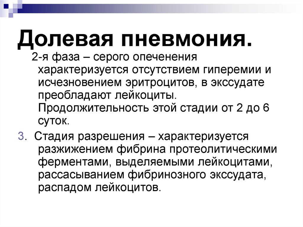 3 пневмонии. Стадии долевой пневмонии. Долевая пневмония фазы. Долевой пневмонии в фазе опеченения:. Фаза разрешения пневмонии.