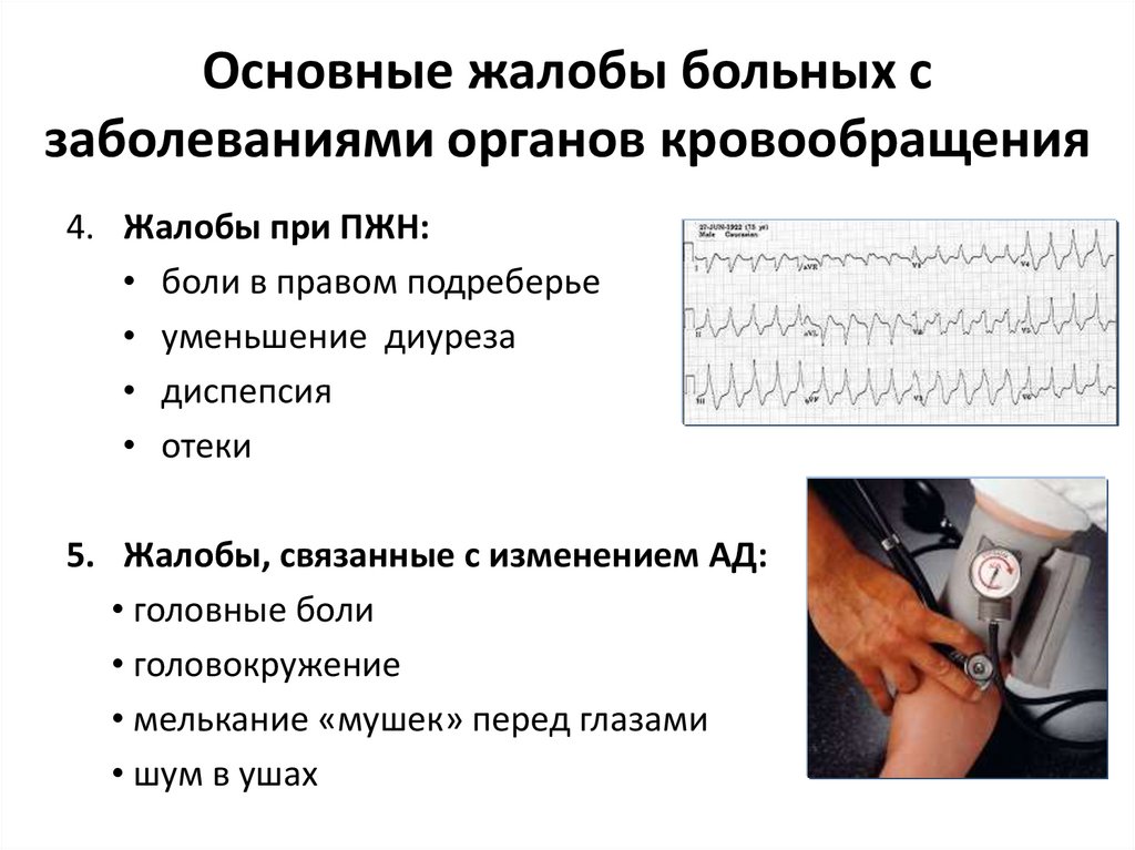 Сестринский уход при нарушении кровообращения. Расспрос больных с заболеваниями органов кровообращения. Основные симптомы заболеваний органов кровообращения.