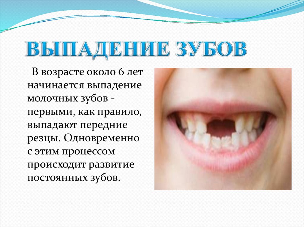 Сколько растет зуб после выпадения молочного. Выпадение молочных зубов. Выпадают молочные зубы у ребенка.