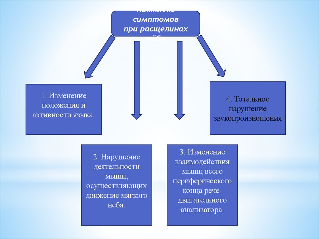 Виды расщелин губы и неба при ринолалии схема