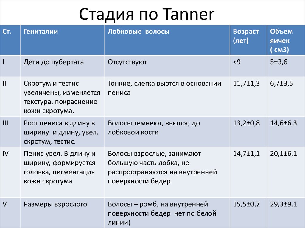 Во сколько лет у девочек начинают расти волосы на лобковой части нормы