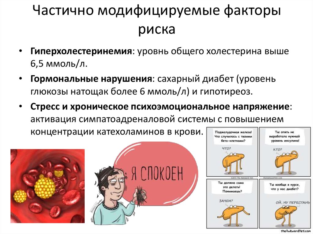 Атеросклероз факторы риска. Модифицированные и немодифицированные факторы риска атеросклероза. Модифицированные факторы риска атеросклероза. Факторы риска развития атеросклероза. Немодифицируемые факторы риска атеросклероза.