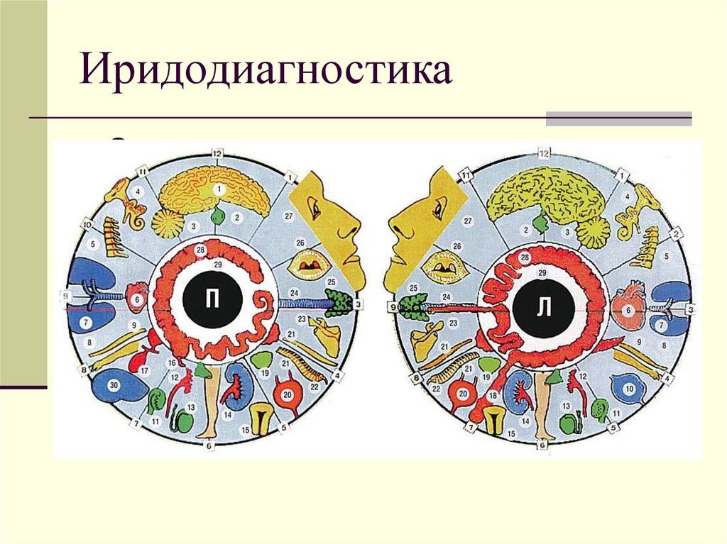 Карта радужки глаза