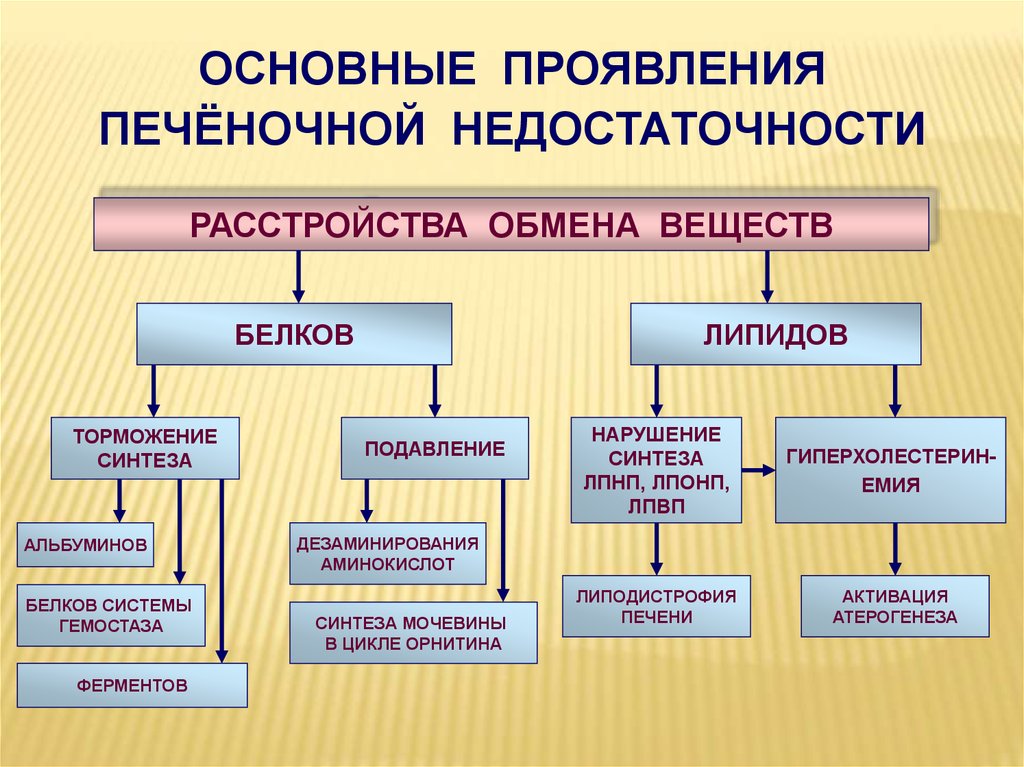 Виды печеночной недостаточности