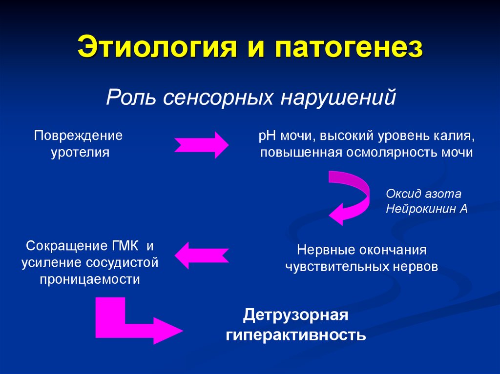 Характер мочеиспускания. Патогенез и этиология разница. Мочевой синдром патогенез. Мочевой синдром механизм развития. Мочевой синдром этиология патогенез.