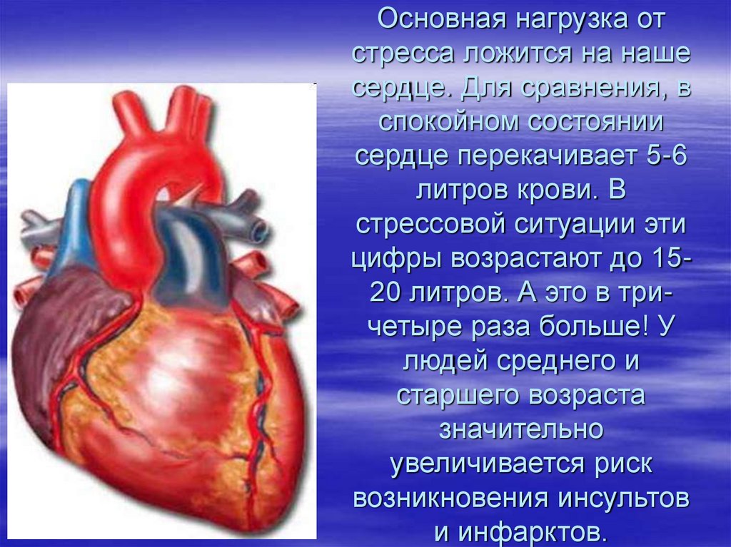 Сильное сердце что делать. Биение человеческого сердца. Почему быстро бьется сердце в спокойном состоянии. Сердце бьётся сильно и быстро. Почему сердце бьётся быстро.
