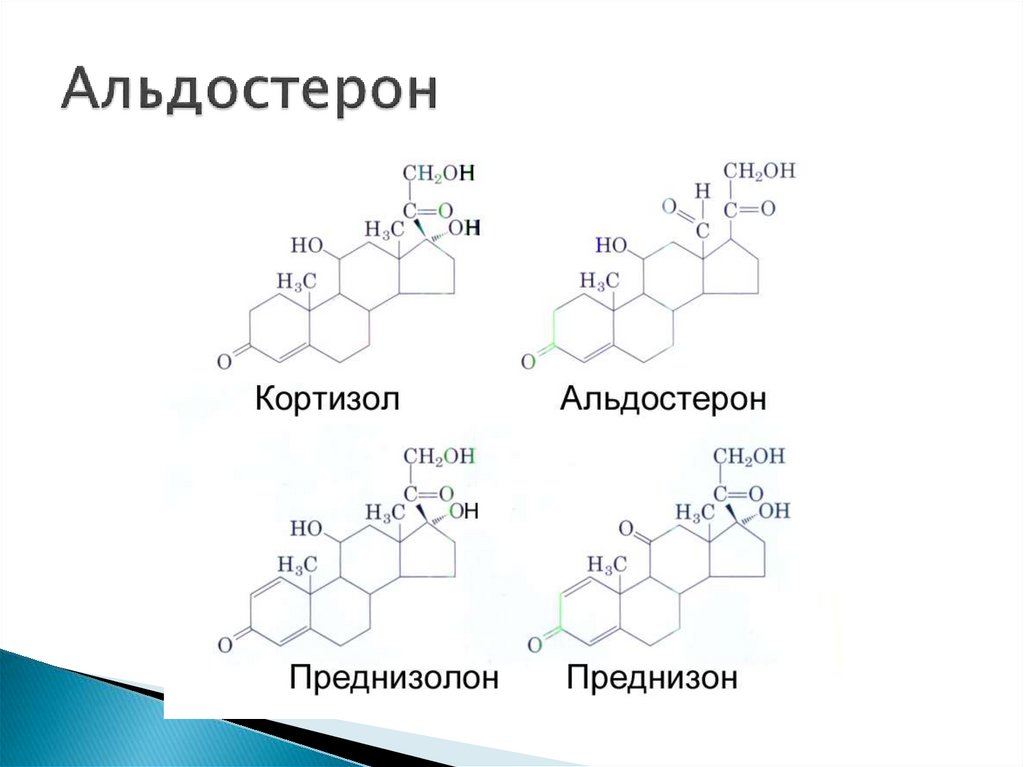 Гормоны химические реакции. Альдостерон структурная формула. Альдостерон химическая формула. Альдостерон химическое строение. Альдостерон гормон формула.