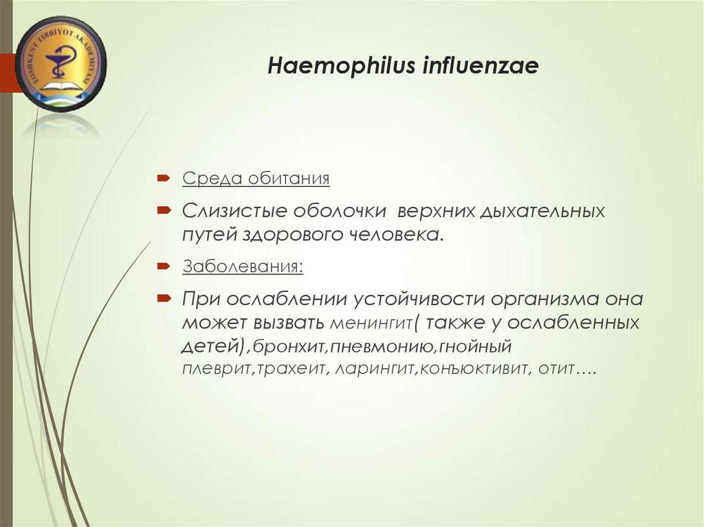 Haemophilus influenzae