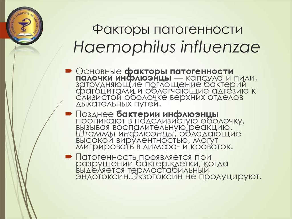 Haemophilus influenzae b. Haemophilus influenzae факторы патогенности. Haemophilus influenzae факторы вирулентности. Факторы патогенности гемофильной палочки. Haemophilus influenzae эндотоксины.