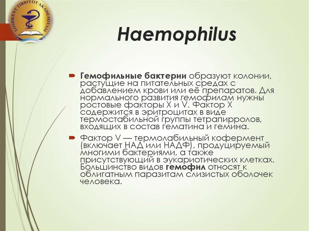 Haemophilus influenzae 10. Haemophilus influenzae норма. Haemophilus influenzae норма в зеве. Haemophilus influenzae 10 в 4 степени у взрослого. Haemophilus influenzae что это такое у взрослых.