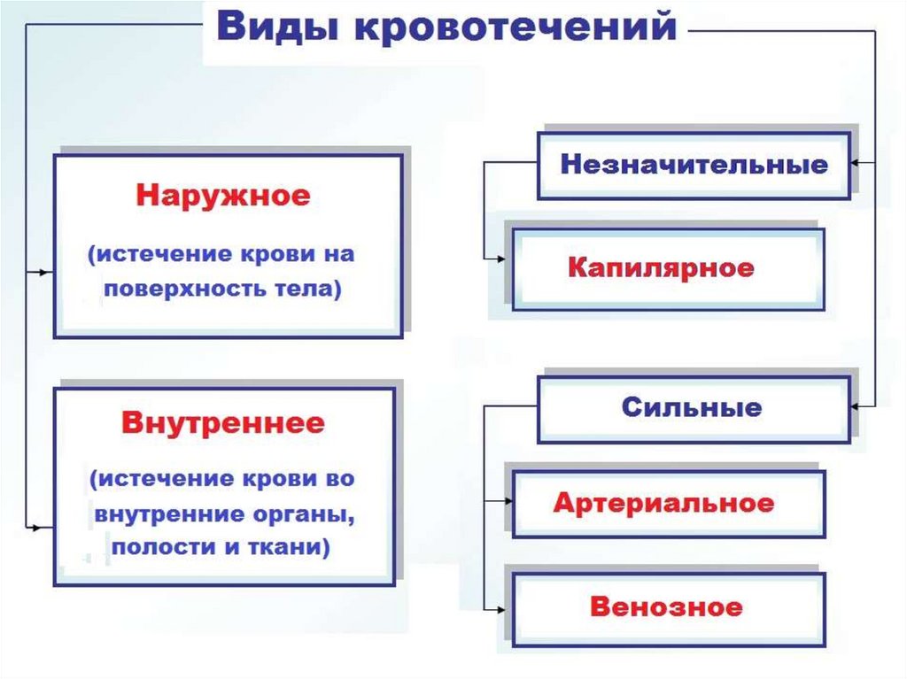 Виды кровотечения схема