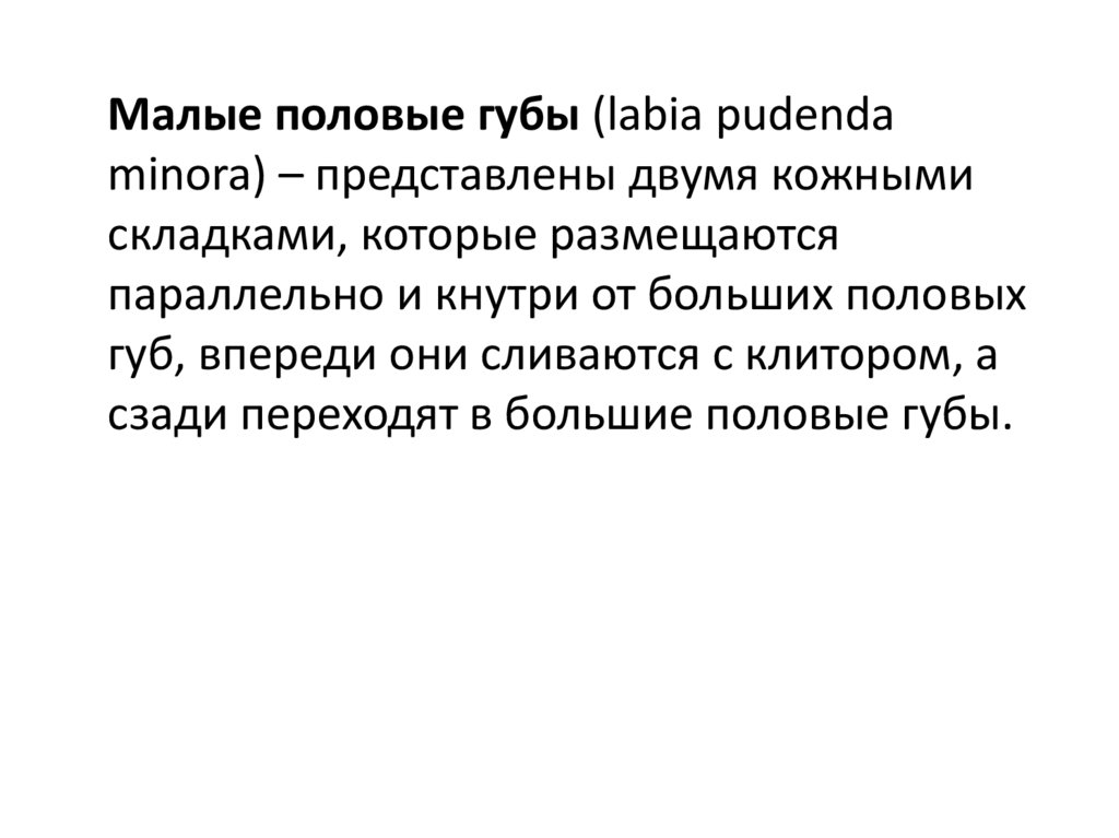 Большие полов. Функция малых половых губ. Большие и малые половые губы функции. Малые половые больше больших. Большие половые губы функции.