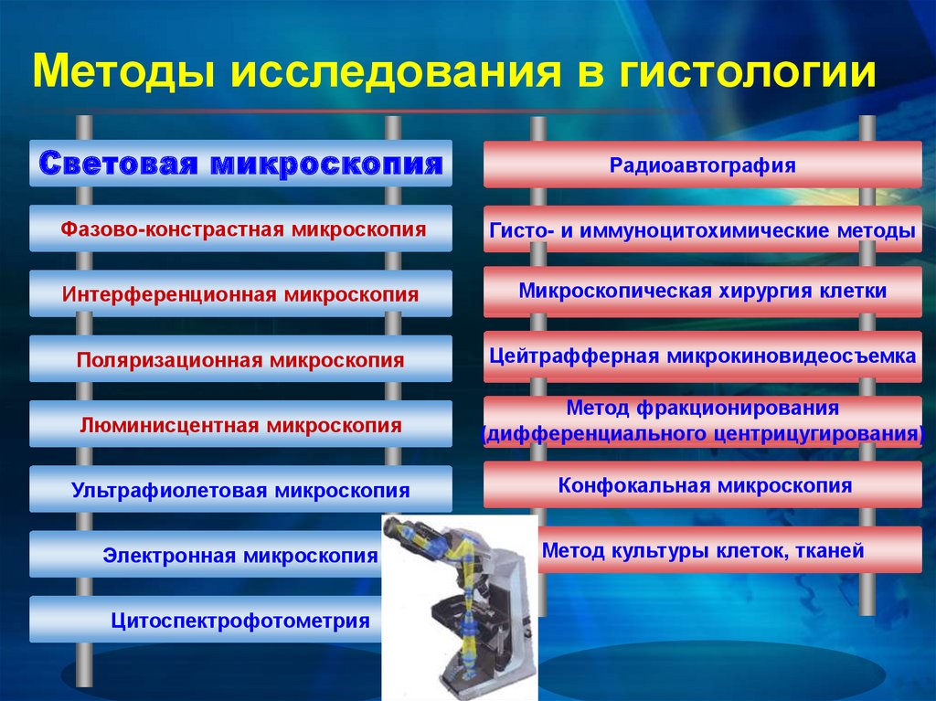 Метод исследования при котором изучают статичное изображение объекта