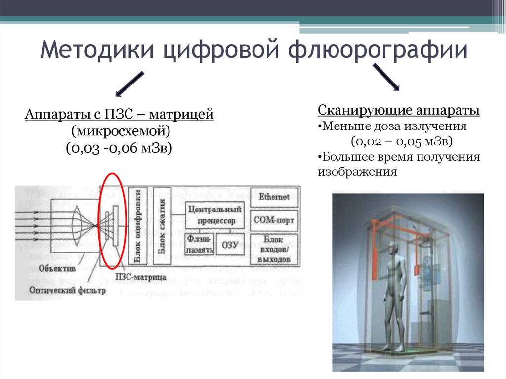 Флюорография в москве