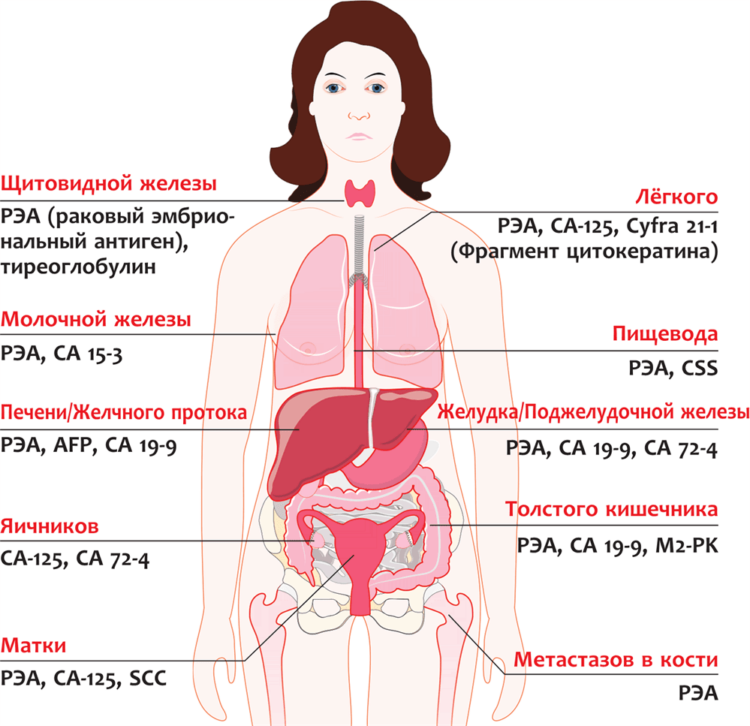 Онкомаркеры на рак. Онкомаркеры са 19.9. Са 125. РЭА .АФП. Онкомаркеры для женщин. Онкомаркеры схема. Онкомаркер РЭА (Раково-эмбриональный антиген).