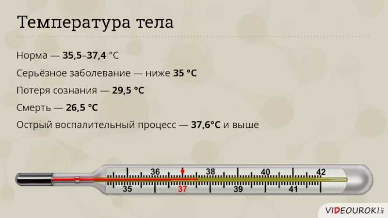 Температура тела. Показатели нормальной температуры тела у взрослого. 37 И 5 температура это нормально. Сбивают ли температуру 37 у взрослых