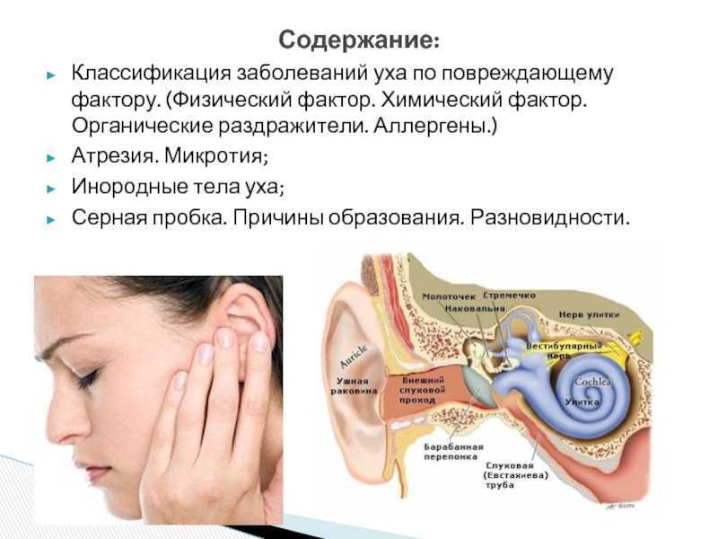 Как убрать заложенное ухо. Симптомы заболевания наружного уха серная пробка. Ухо строение серная пробка. Заболевания уха классификация. Причины заболеваний уха.