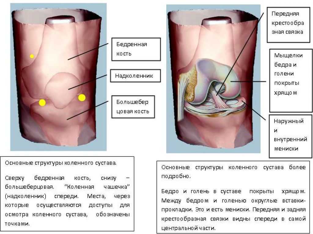 Колено болит с внутренней. Снизу справа коленки болит. Ноющая боль под коленкой спереди. Болит под коленом спереди.