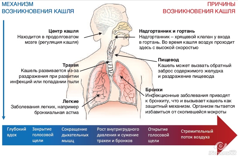 Кашель после каши