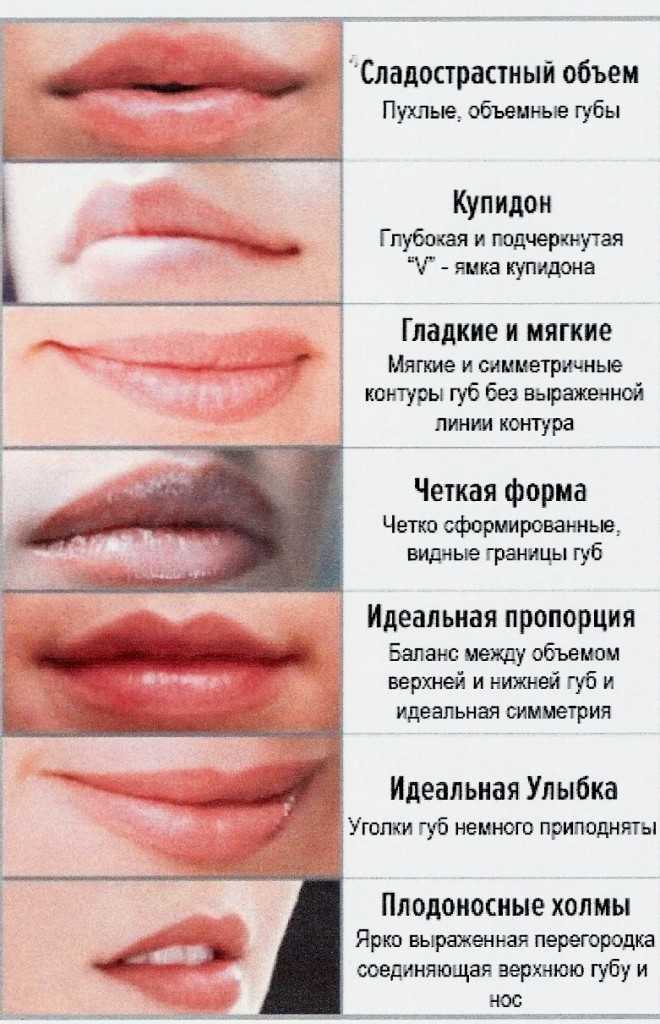 Какие формы губ бывают при увеличении фото и названия