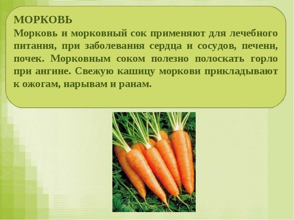 Морковь отварная состав. Сведения о моркови. Чем полезна морковка. Полезные свойства моркови. Рассказать о морковке.