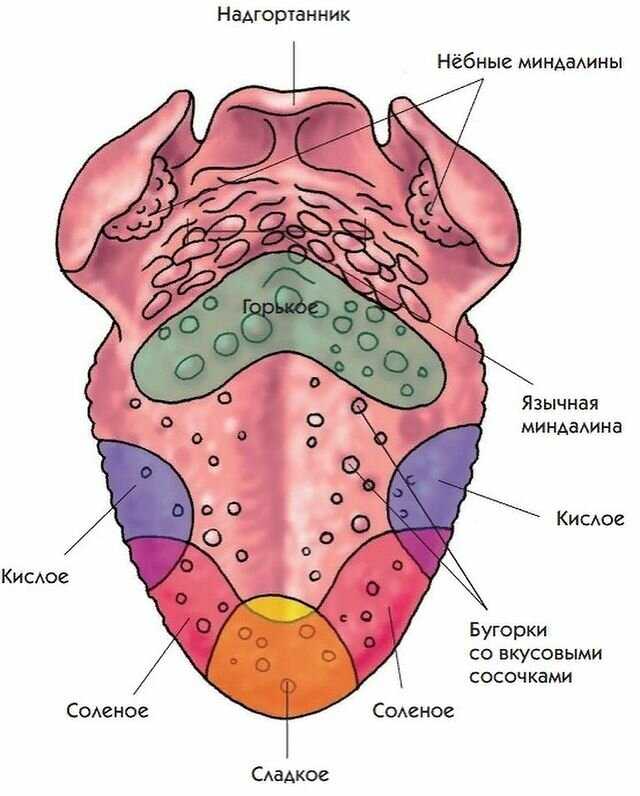 Рисунки на языке что означают