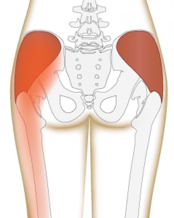 Боль в ноге справа. Таз и ягодицы.