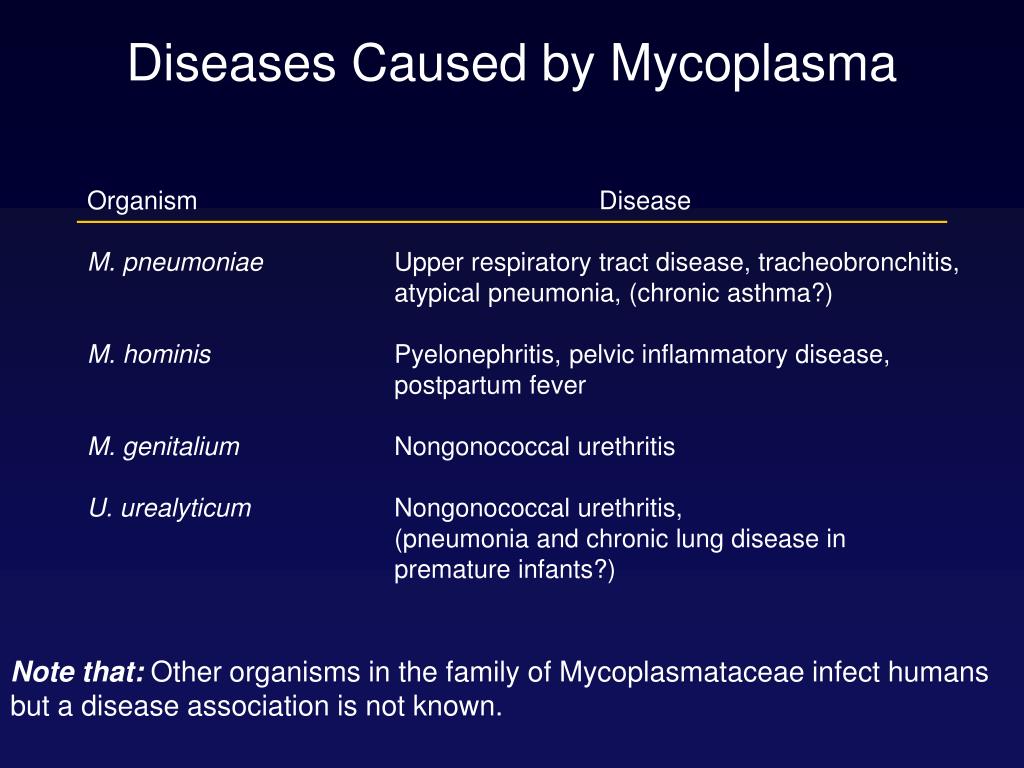 Микоплазма что это. Микоплазма гоминис m.Hominis. Микоплазма гоминис Mycoplasma. Заболевания, вызываемые Mycoplasma Hominis.