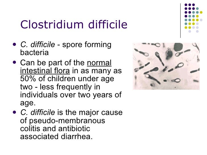 Токсин cl difficile. Морфология клостридиум диффициле. Клостридии дефициле микробиология токсины.