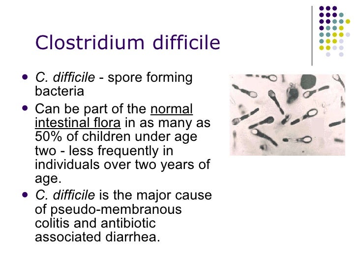 Токсин cl difficile