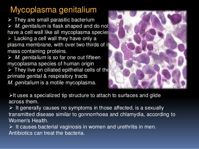 Mycoplasma genitalium что это. Микоплазма гениталиум. Микоплазма genitalium морфология. Микоплазмы гениталиум симптомы.