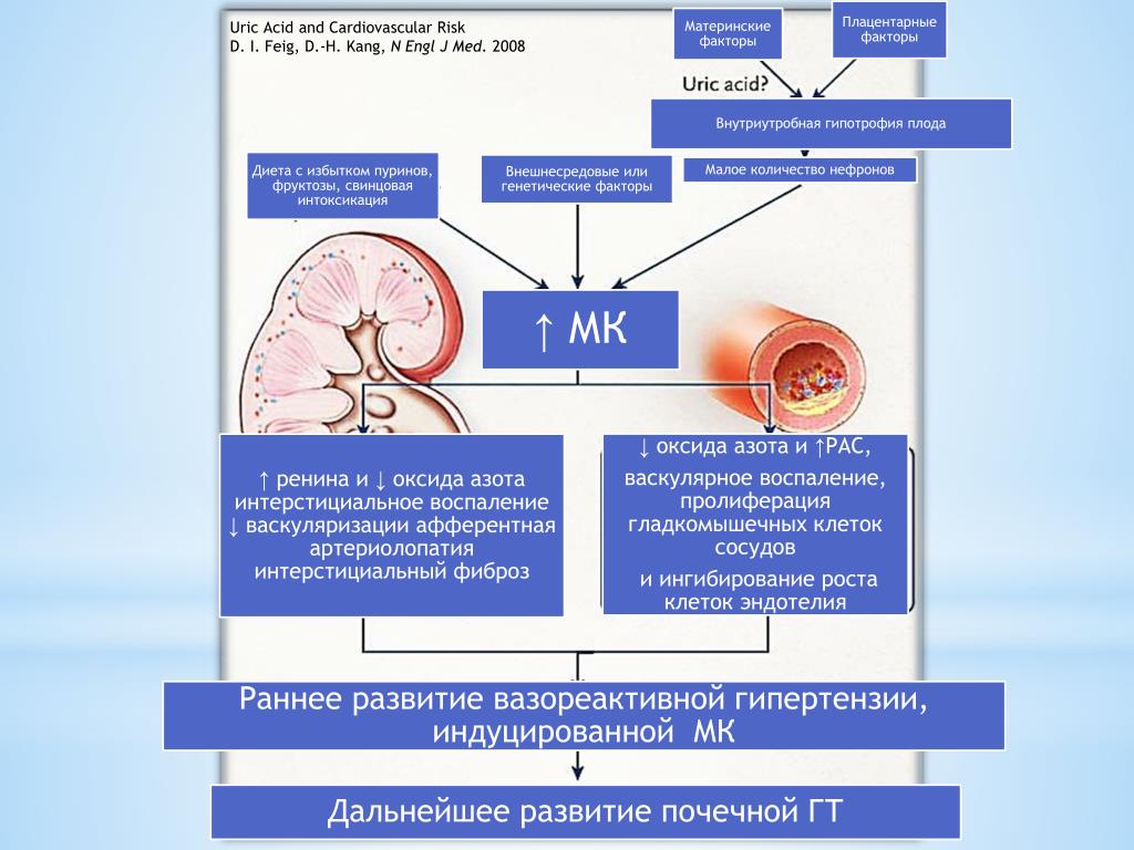 Гиперурикемия рекомендации