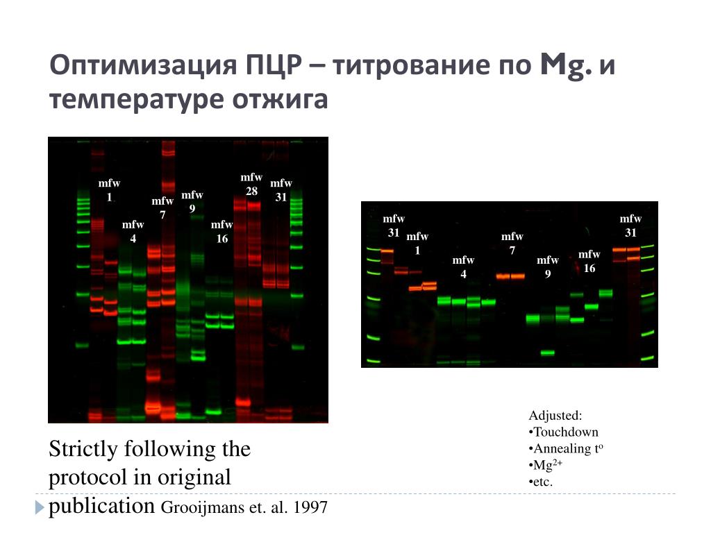 Заболевание пцр. Оптимизация реакции ПЦР. Программа ПЦР. Оптимизация условий ПЦР. Внутренние контроли это в ПЦР.