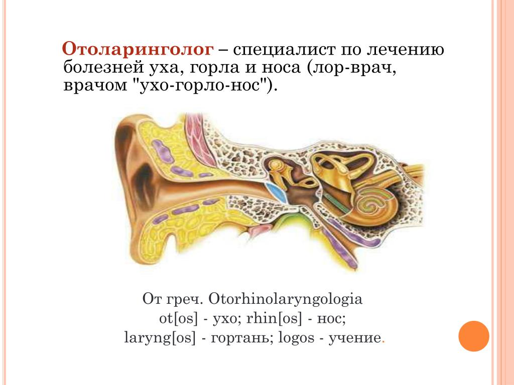 Как называют врача ухо горло. Заболевания уха горла носа. Заболевания среднего уха отоларингология. Задания по ЛОР заболеваниям уха.