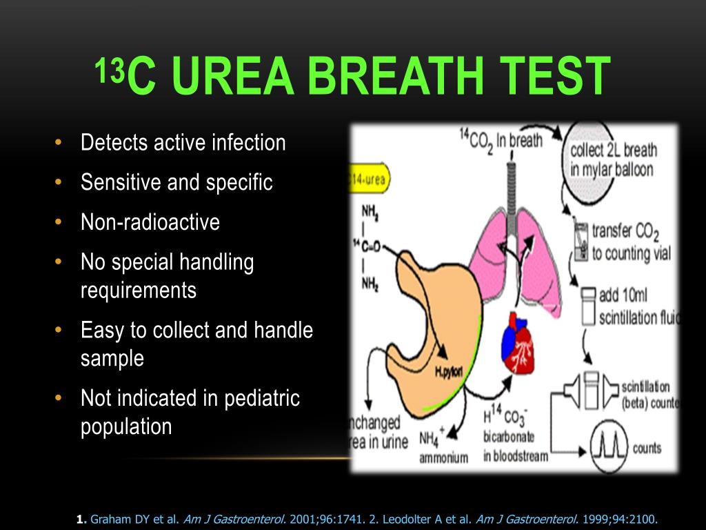 13c уреазного дыхательного теста