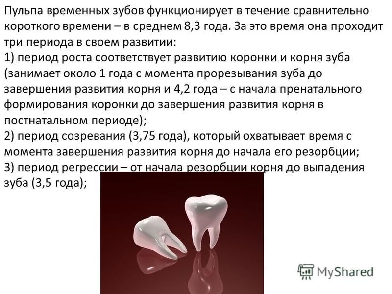 К чему снится корень зуба. Строение пульпы временных зубов. Этиопатогенез пульпита временных зубов. Этиология и патогенез пульпита временных зубов. Строение пульпы несформированного зуба.
