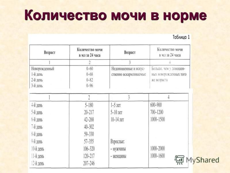 Сколько раз в сутки норма мочеиспускания. Количество мочи в норме. Объем выделяемой мочи. Нормы выделения мочи в сутки у взрослого.