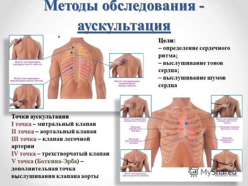 Аускультация сердца алгоритм