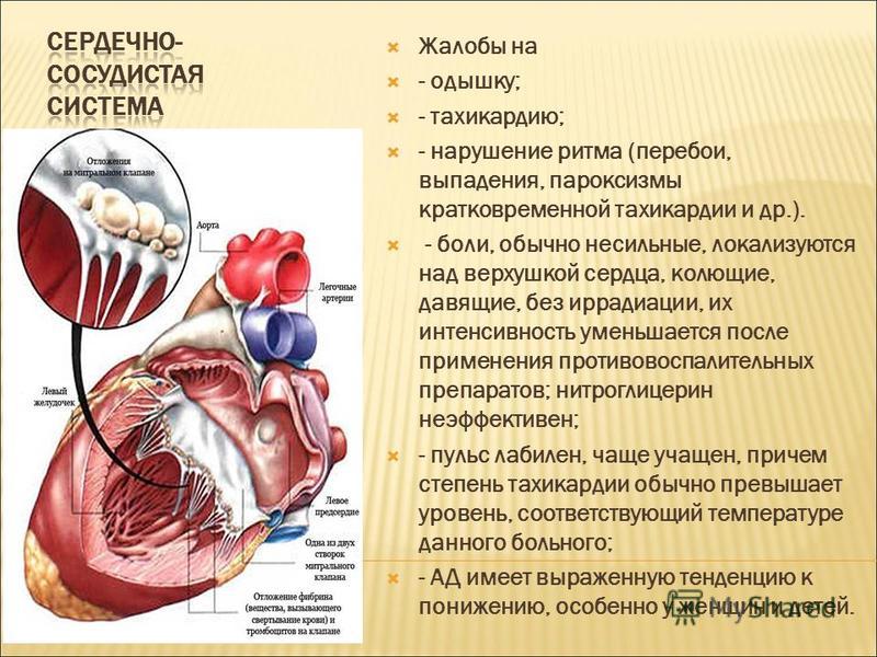 Ревматизм сердца. Ревматизм сердца презентация. Ревматизм наиболее часто поражает клапан. При ревматизме чаще поражается клапан сердца.